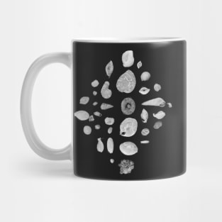 Foraminifera under the microscope Mug